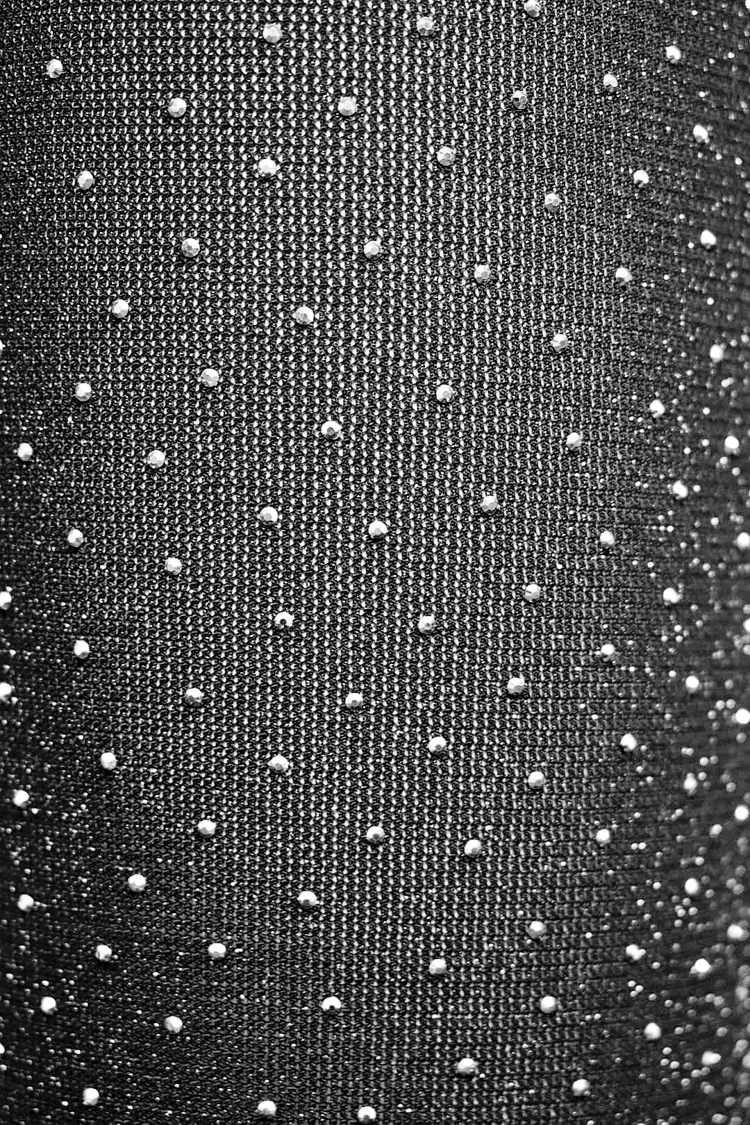 Black Diamante Sheer Flared Trousers