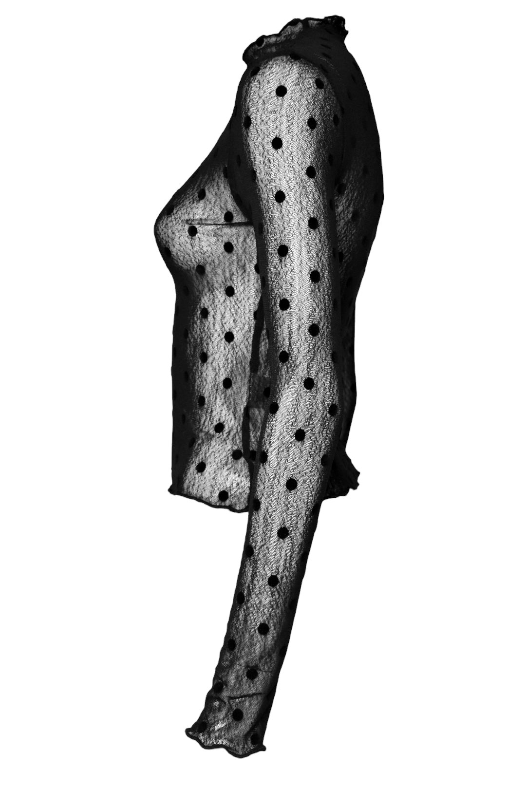 Black Polka Dot Mesh Long Sleeve Top