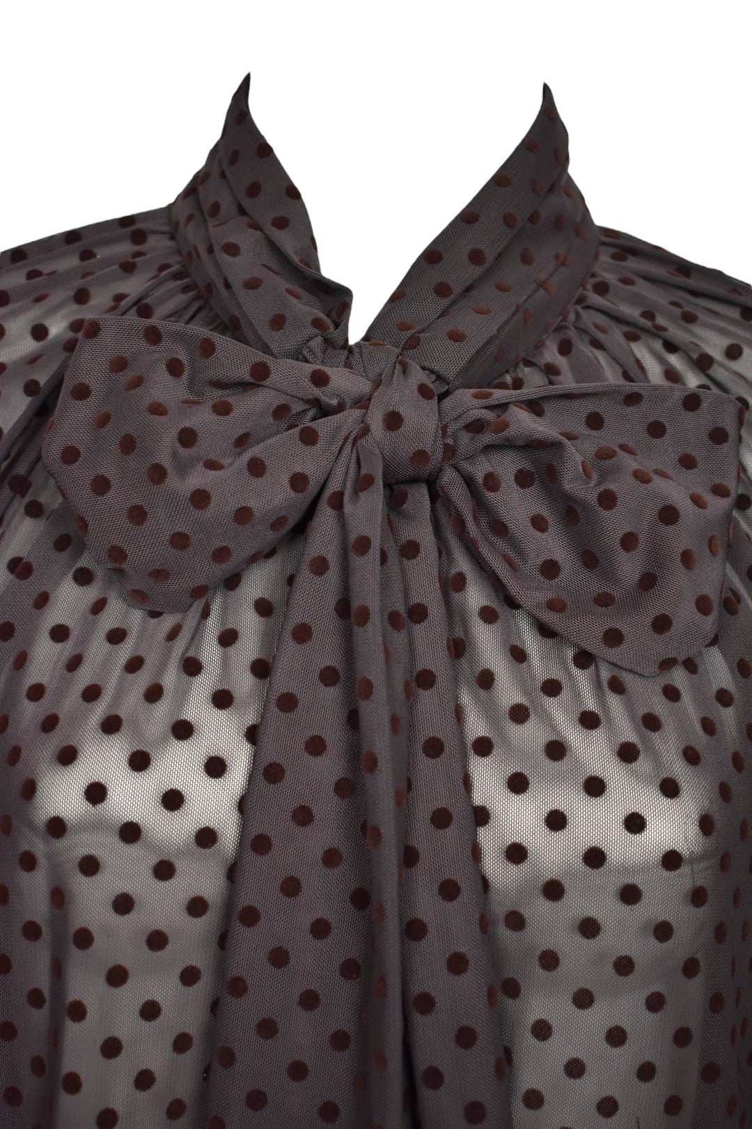 Brown Polka Dot Bow Sheer Blouse