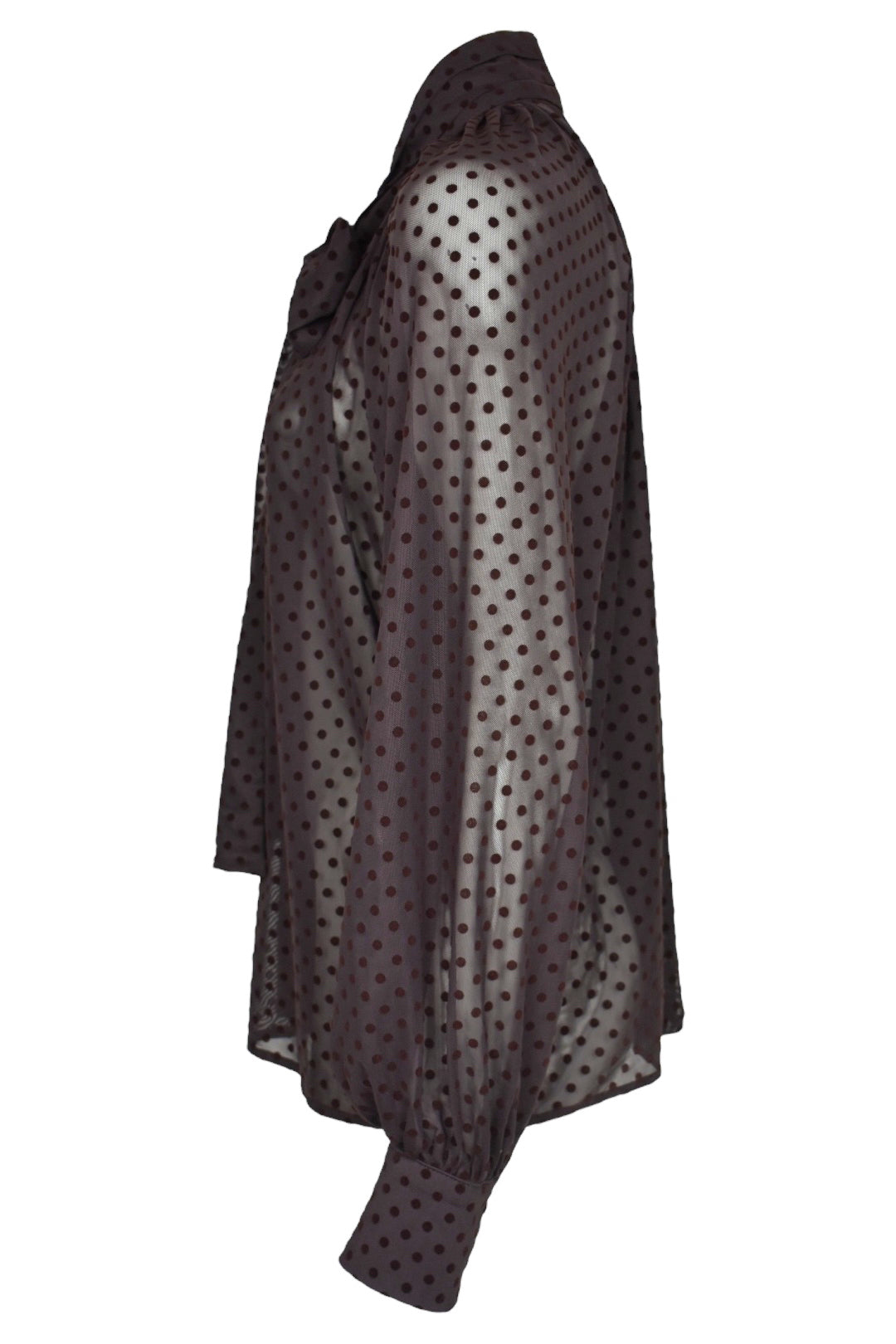 Brown Polka Dot Bow Sheer Blouse