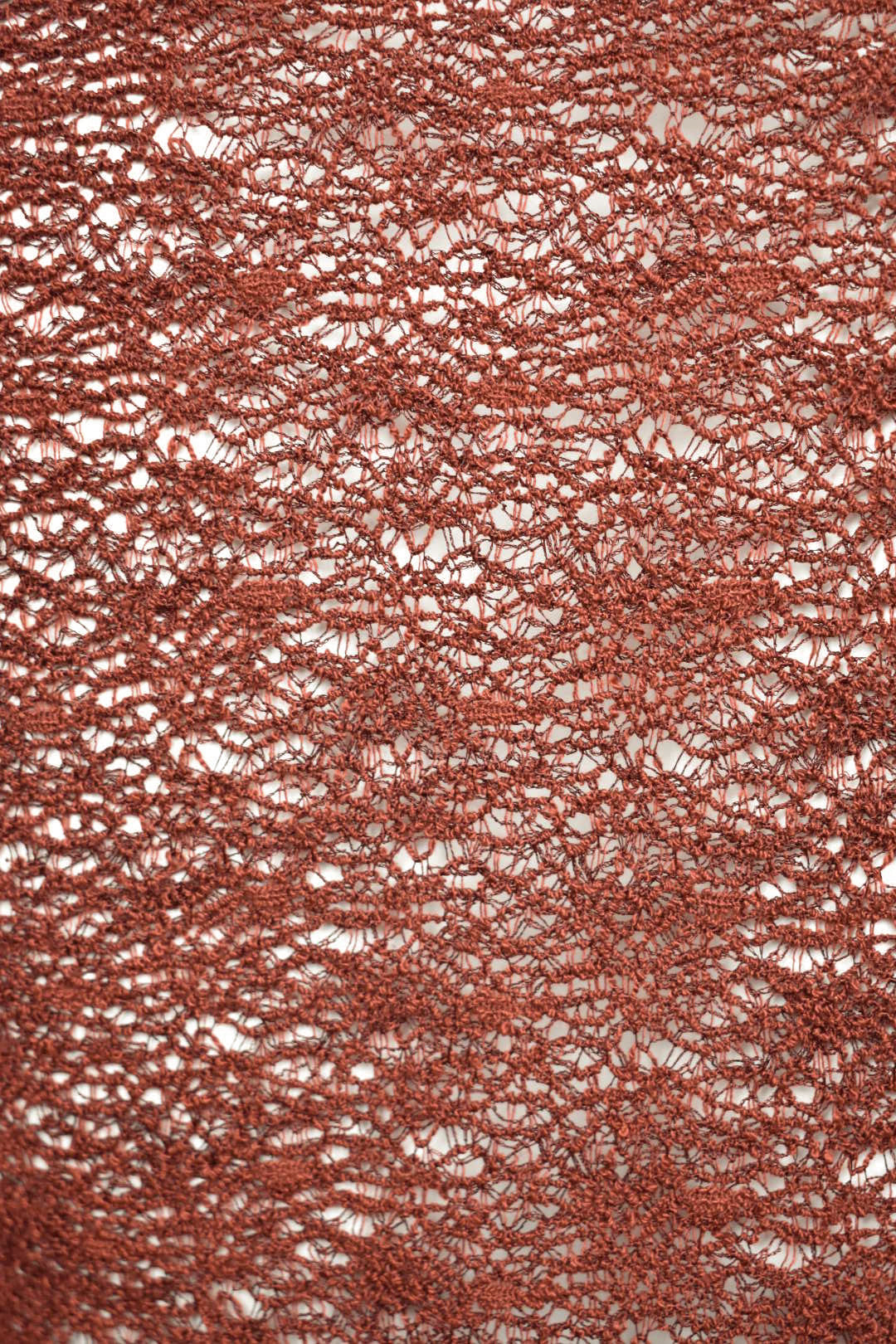 Rust Mesh Long Sleeve Top