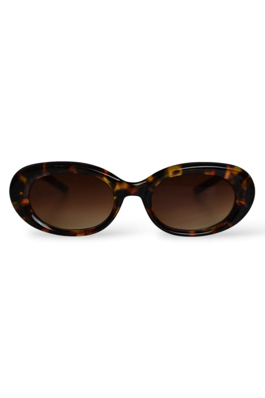 AMALFI Tortoise Sunglasses