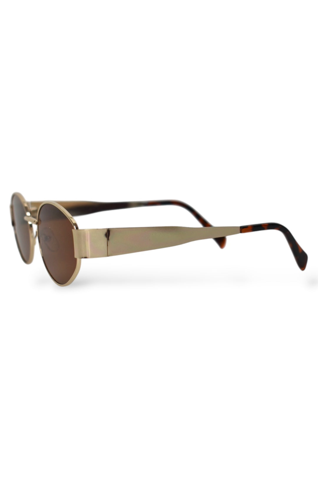 PARIS Brown Sunglasses