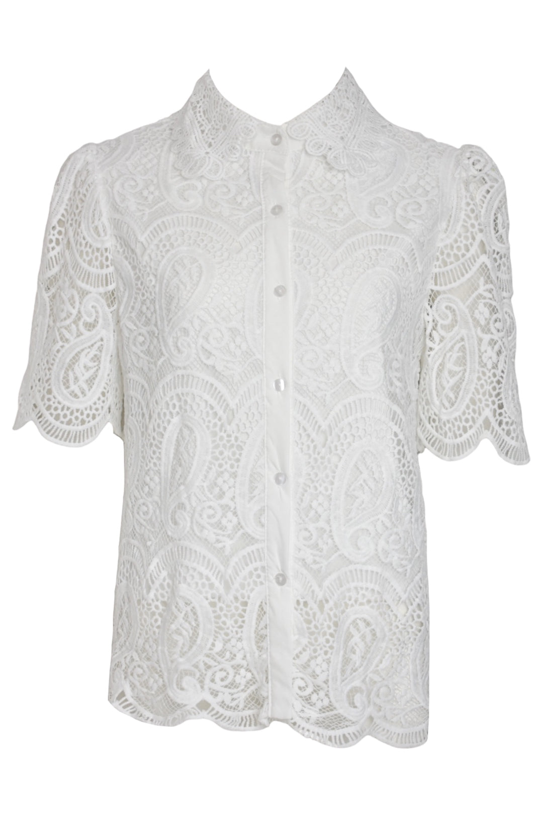 White Lace Scalloped Short Sleeve Blouse