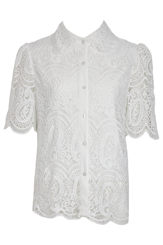 White Lace Scalloped Short Sleeve Blouse
