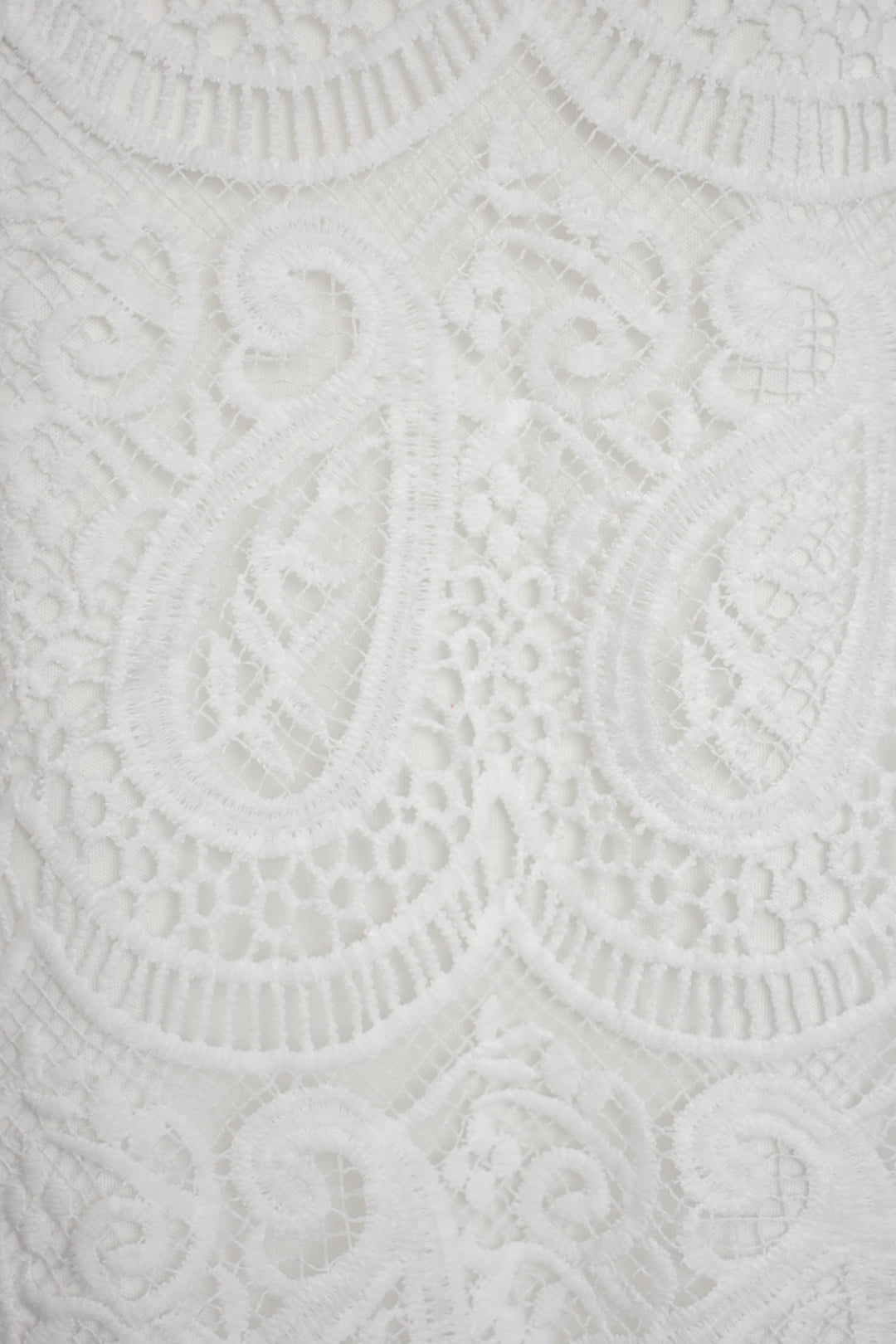 White Lace Scalloped Short Sleeve Blouse