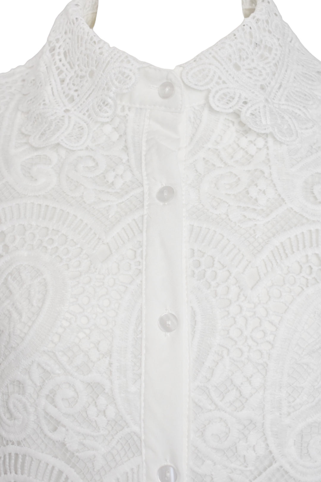 White Lace Scalloped Short Sleeve Blouse